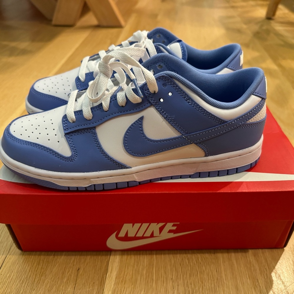 Brand new! Nike drunk low retro